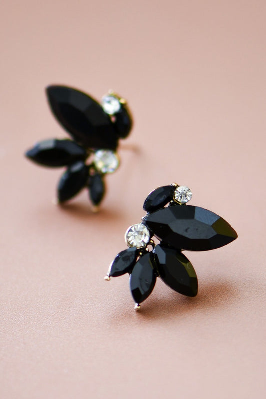 Black Stud Earrings