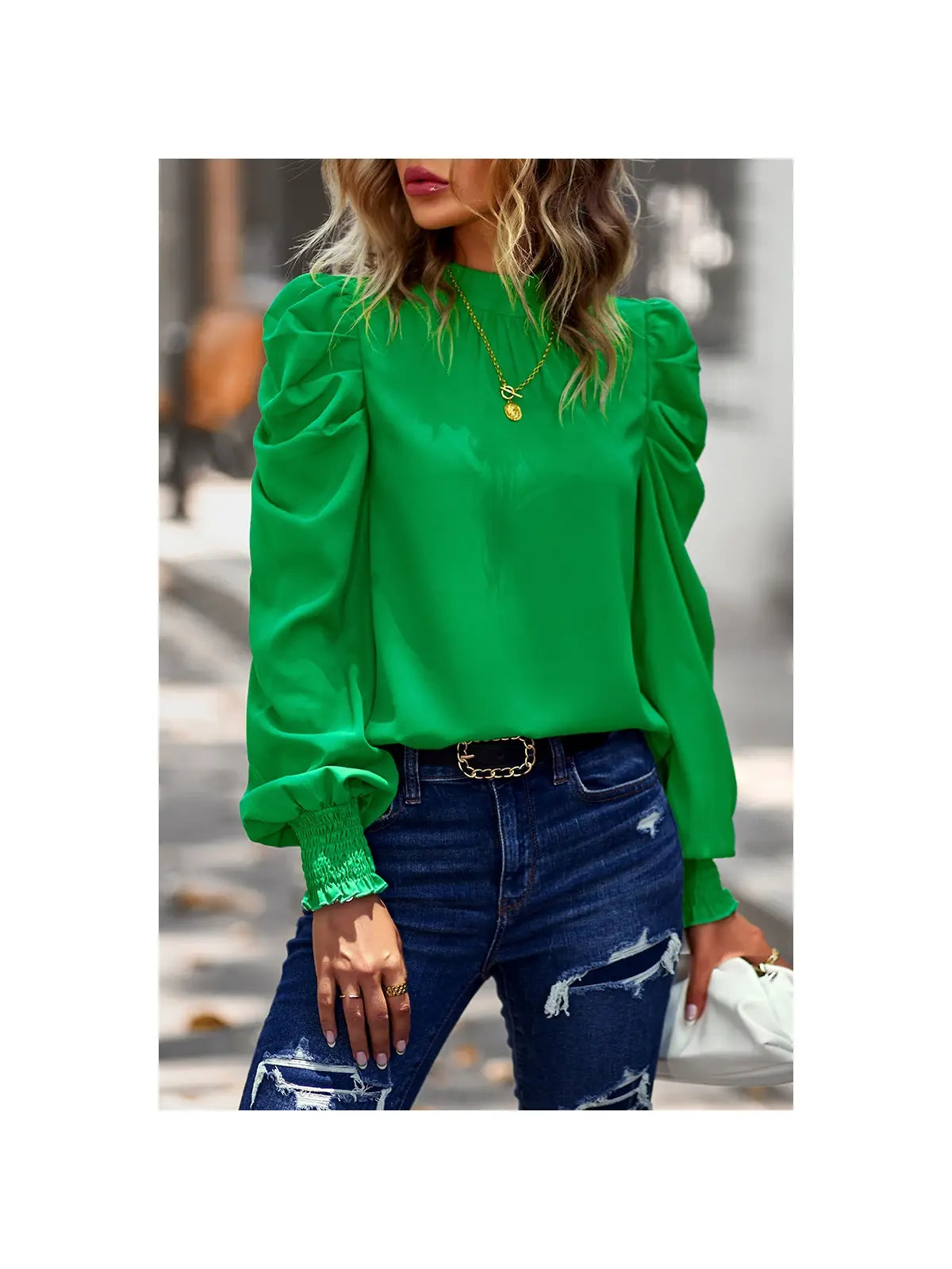 Puffed Long Sleeve Blouse